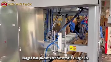 WIN-WIN PACK Delta Robot Case Packer for Bagged Food | Precise Picking and Continuous Carton Loading
