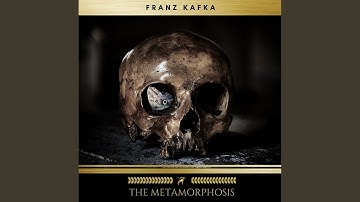 Chapter 1 - The Metamorphosis