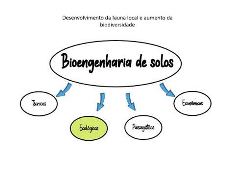 Vídeo: A bioengenharia requer física?