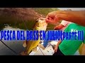 Pesca del Black Bass en Julio #2 | HD