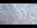 [Türkçe Altyazılı] Younha - Winter Flower ft. RM