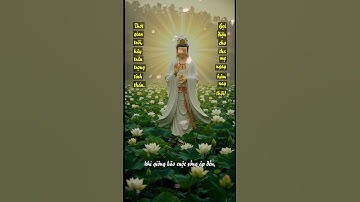 Tình Cha Mẹ - Ánh Sáng Trong Tâm Hồn