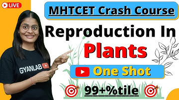 MHTCET 2022 Crash Course | Reproduction In Plants | One Shot | Biology | Gyanlab | Anjali Patel