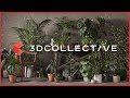 Plantas 3D Escaneadas 3D COLLECTIVE - Caracteristicas y como usarlas