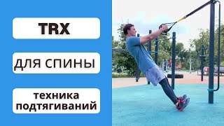 Упражнения для мышц спины в петлях TRX. Техника подтягиваний