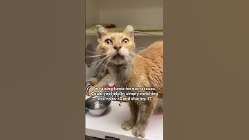 Every little bit counts! Link in our channel description to donate