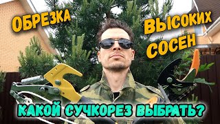 ОБРЕЗКА ВЫСОКИХ СОСЕН: КАКОЙ СУЧКОРЕЗ ВЫБРАТЬ | ОБЗОР СЕКАТОРОВ НА ДЛИННОЙ РУЧКЕ | СОСНЫ В ЗАСАДЕ