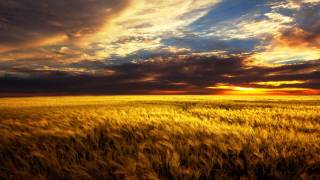 Mat Zo Arty - Mozart Mike Ocean Remix