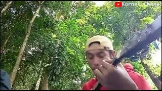 Kuat Ati ( Ttm Akustik Ft. Andien) - Cover Guitar Akustik