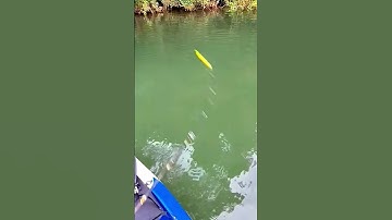 #shorts đam mê câu lure câu cá giải trí #524 #fishing #cauca