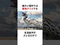 新生代の巨大ヘビ「ティタノボア」#生き物 #生物 #動物 #雑学