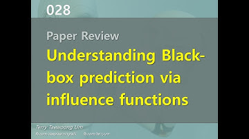 PR-035: Understanding Black-box Predictions via Influence Functions (2017)