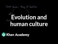 Evolution and human culture  society and culture  mcat  khan academy