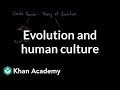 Understanding Culture and Evolution
