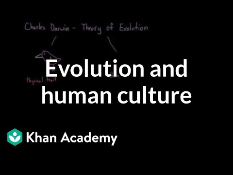 Wideo: Co oznacza jednoliniowa ewolucja kulturowa?