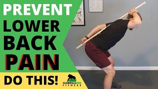 How to Move with Lower Back Pain | Use these to prevent it as well!