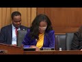 Ranking Member Jasmine Crockett delivers opening remarks