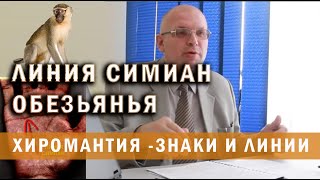 Тайны обезьяньей складки. Линии Симиан. Доклад на Всеукраинской конференции хиромантов. Ч. 1