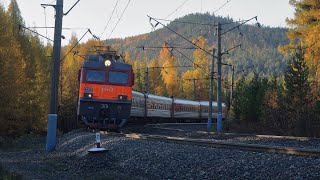 Trains in Siberia in golden autumn. Turma-Vikhorevka stretch. Russia. Irkutsk region. September 2023