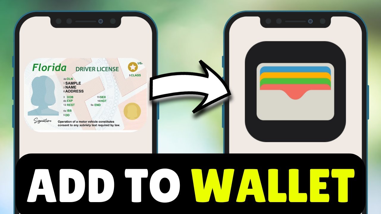 Как добавить водительские права штата Флорида в Apple Wallet (2026) — Полное руководство