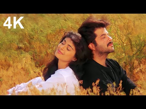 Dhol Bajne Laga Gaon Sajne Laga | SUPERHIT Virasat SONG | Anil Kapoor & Pooja Batra | Kavita K.