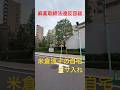 米倉涼子 麻薬取締法違反容疑で書類送検 ガサ入れされたマンション #shorts #米倉涼子
