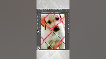 How to Remove Fence in Photoshop | Photoshop Tutorial #photoshop
