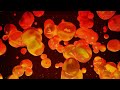 Flowing Lava Lamp Visuals | 8 Hours 4K UHD | Ambient Background Video
