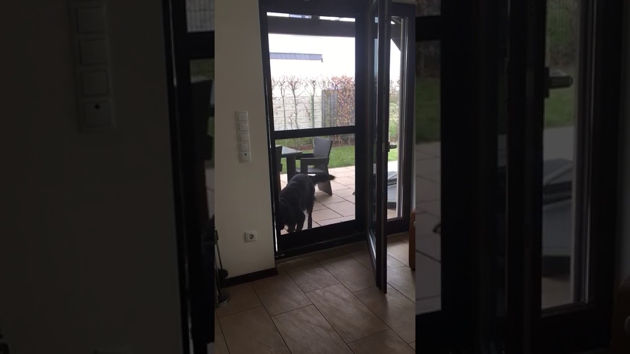 Haustierklappen Hundeklappen Katzenklappen Wieroszewsky