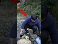 He Turned One Fish Into the Perfect Homemade Meal #cooking #food #fishrecipe #streetfood #satisfying
