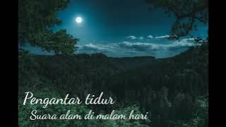Pengantar tidur 30 menit | suara jangkrik suara alam bikin nyaman di malam hari