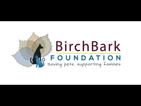 video:Fall in Love with BirchBark Foundation