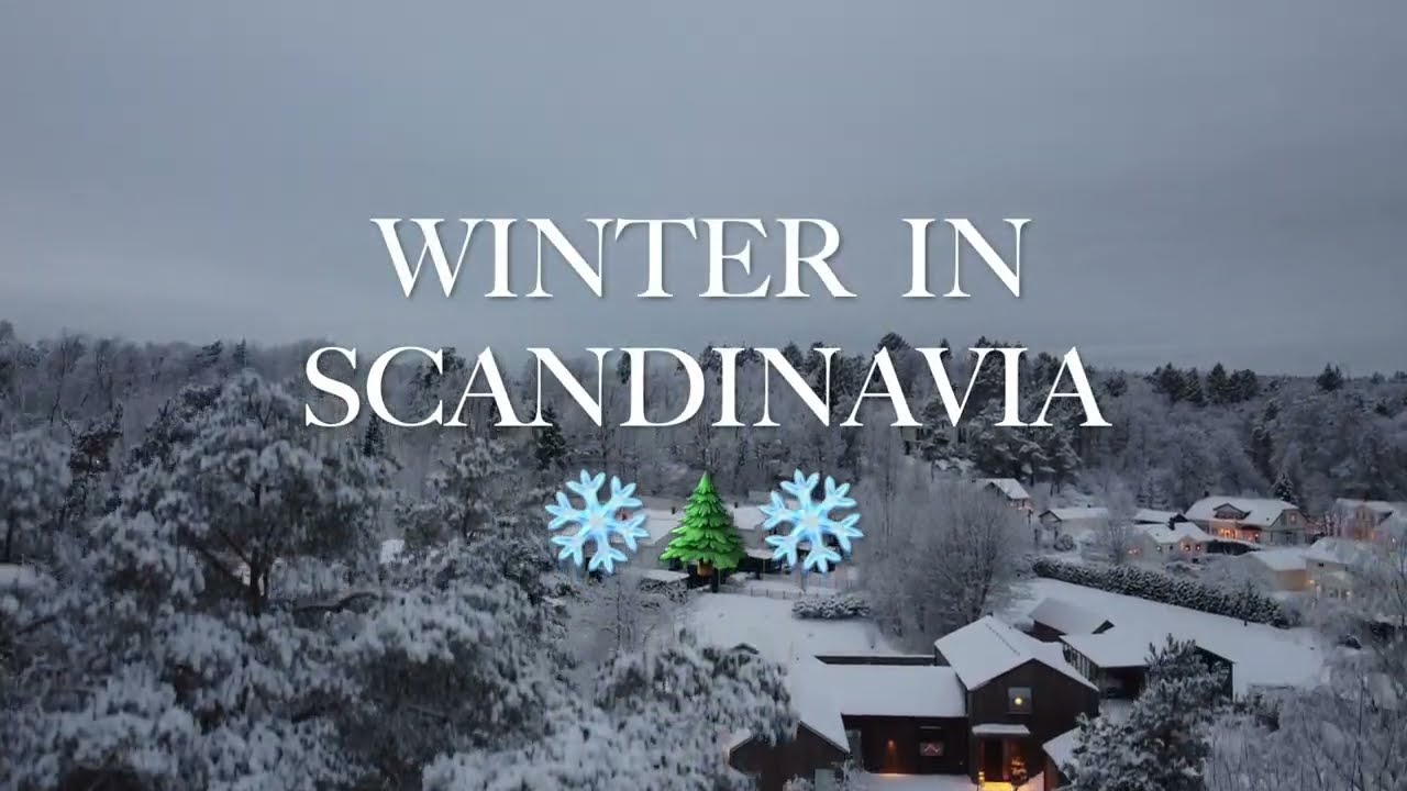 ❄️🌲 Winter Wonderland | Snow Landscape | Scandinavia From Above 🌲❄️