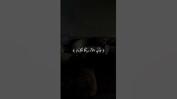 عبدالباري الثبيتي   |||| سورة الرحمن.