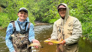 Trout Fishing Michigan’s Upper Peninsula - Trout Trifecta: Brook Trout, Brown Trout, Rainbow Trout