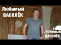 ЛЮБИМЫЙ «ВАСИЛЁК» / Обзор и демонстрация моделей одежды и не только 14  ноября 2020 г.