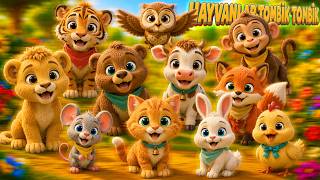 Hayvanlar Tombik Tombik 🎵 Kedi🐱 Aslan🦁 Fare🐭 Ayı🐻 İnek🐮 Maymun🐵 Tilki🦊 Tavşan🐰 Kaplan🐯 Tavuk🐔