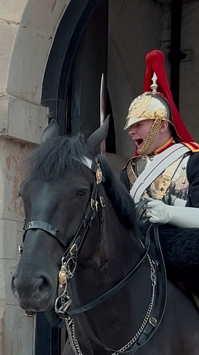 THE LOUDEST ‘GET BACK!’ ⚡️💂 | Horse Guards, Royal guard, Kings Guard, Horse, London, 2024