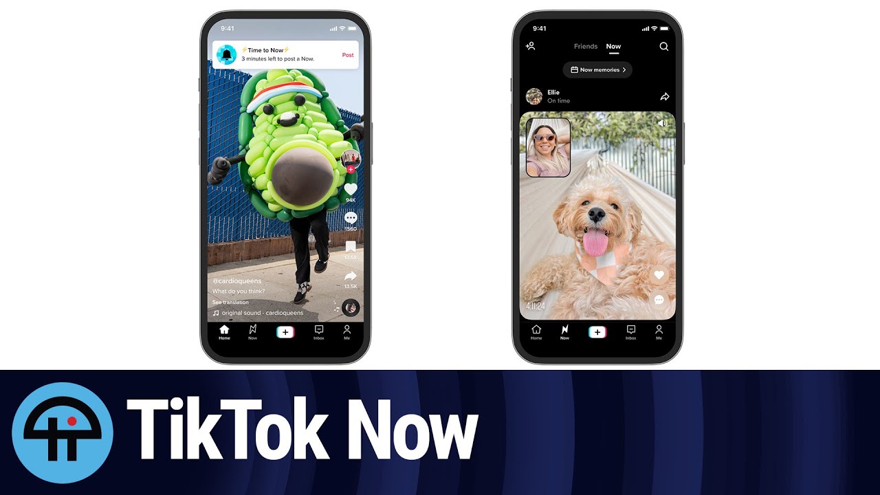 How to Use TikTok Now, TikTok's BeReal Clone