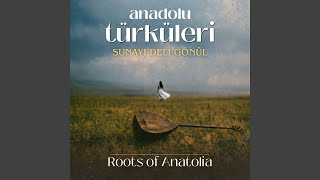 Sunayı Deli Gönül (Psychedelic Anatolian Folk Cover)
