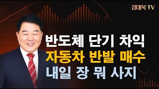 반도체 팔고,자동차 사고 ㅣ삼성전자 차익매물 언제까지 ㅣ 내일장 뭐사지