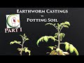 Earthworm castings vs potting soil part 1  vermisterra and promix