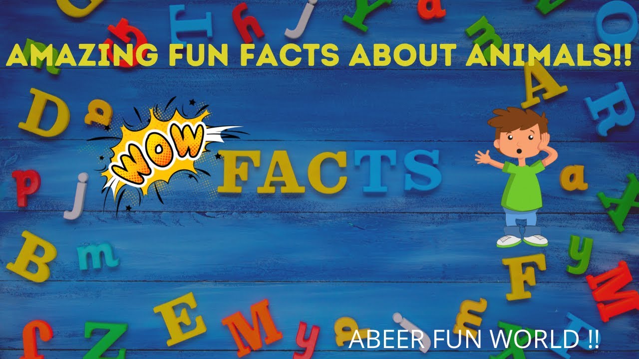 Friday Fun Facts Fun Facts About Animals Fun Facts For Kids Interesting Facts About Animals Youtube