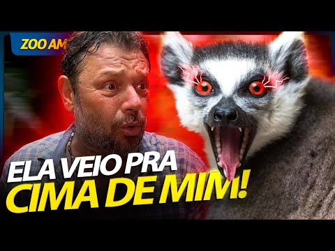 Vídeo: Por que lemore ca é conhecido?