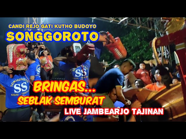 TERBARU !! Kuda Lumping SONGGOROTO Sukses Obrak Abrik Kalangan Live Jambearjo Tajinan class=