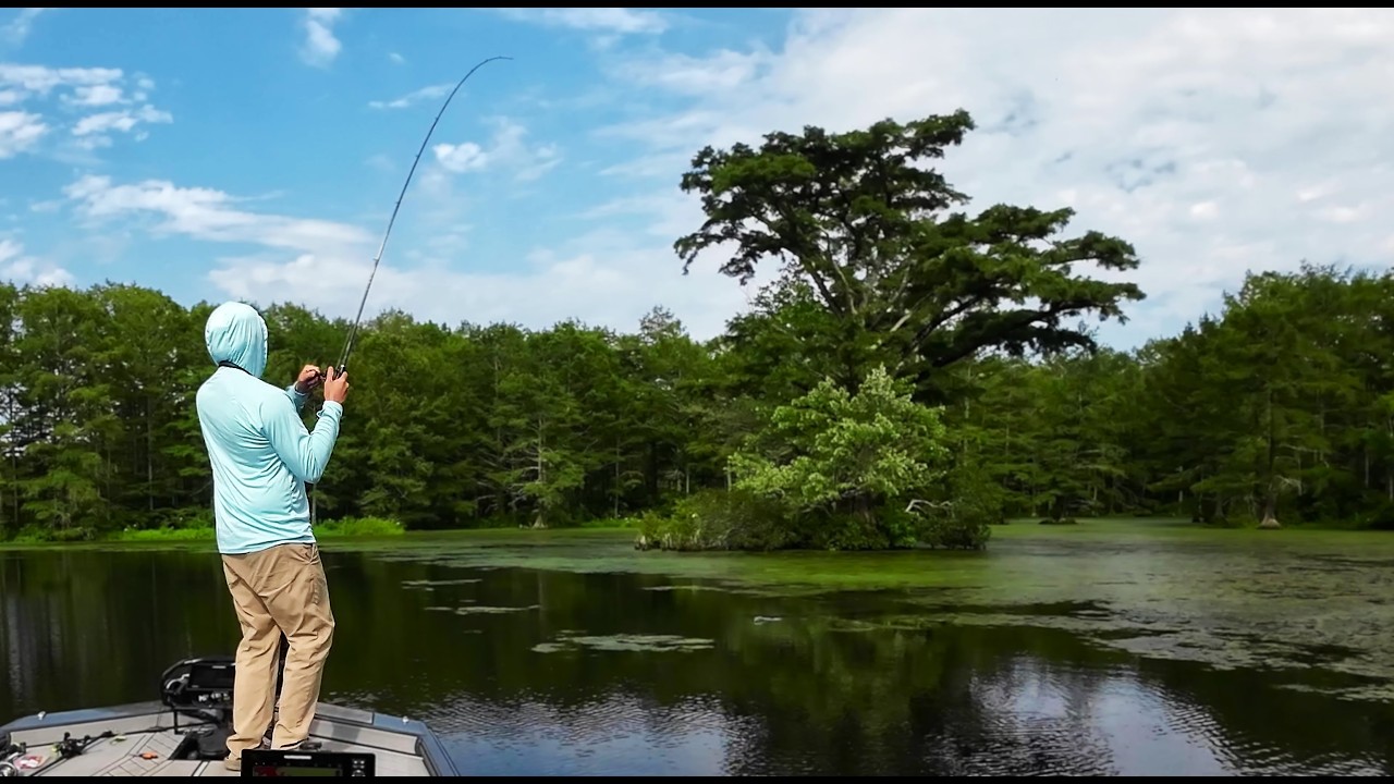 Spending the Night in a Swamp to Catch an Ancient Fish