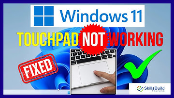 How to Fix Touchpad Not Working in Windows 11 [FAST]