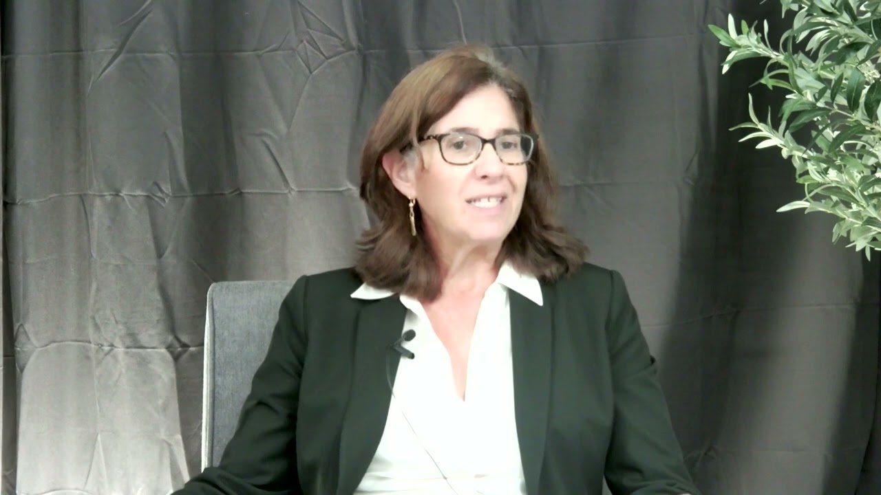 VP at the US Peace Institute Mona Yacoubian discusses regional politics and Lebanon's significance