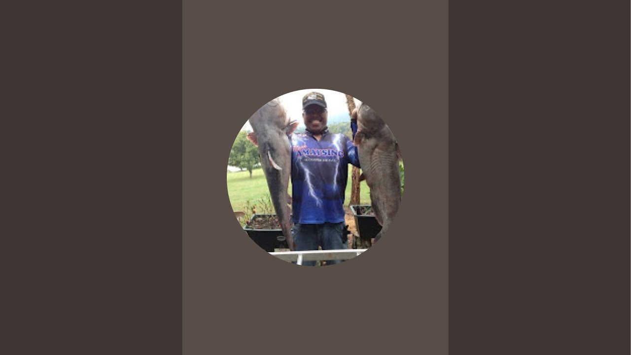 AMAYSING FISHING BAIT & TACKLE  is live!