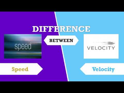 Difference between Speed and Velocity in points | Speed vs Velocity